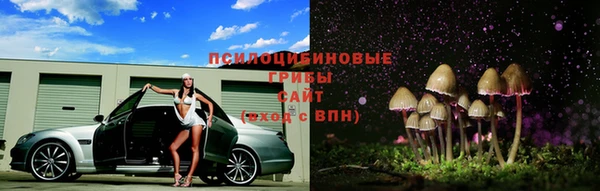 герыч Пестово