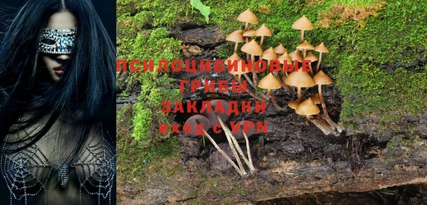 кокс Пересвет