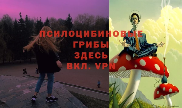кокс Пересвет