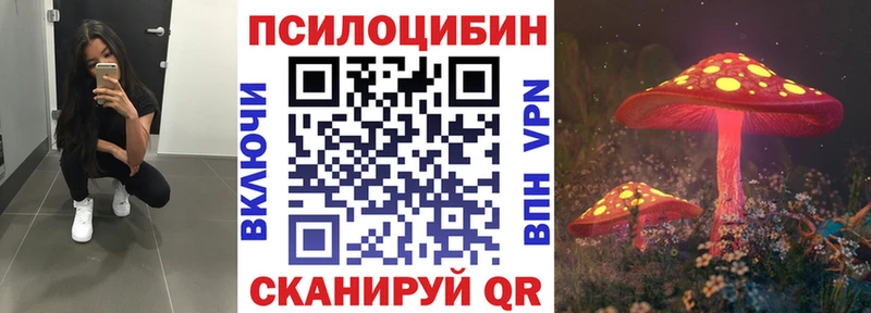 наркотики  Сураж  Галлюциногенные грибы Cubensis 