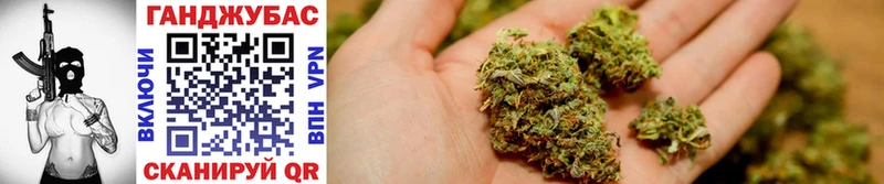 как найти   Сураж  Бошки Шишки THC 21% 